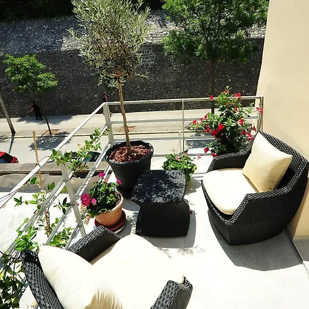 Vendégház Scallop Regent