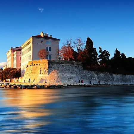 Πανσιόν Scallop Regent